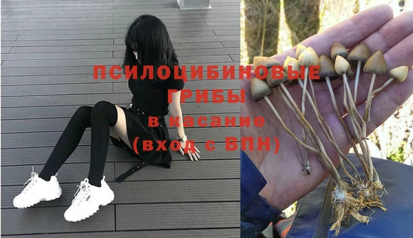меф Алексин