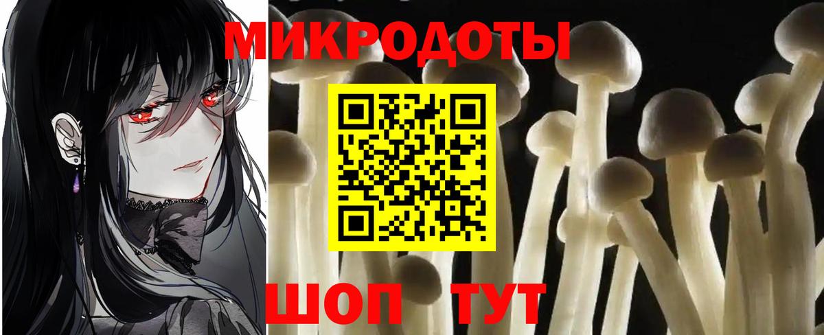 Псилоцибиновые грибы Psilocybe Первоуральск